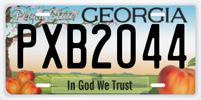 GA license plate PXB2044