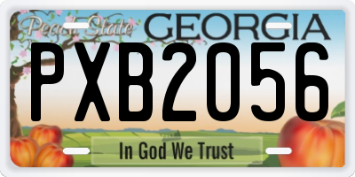 GA license plate PXB2056