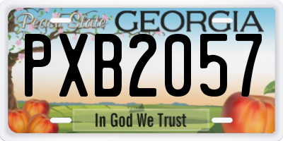 GA license plate PXB2057