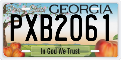 GA license plate PXB2061