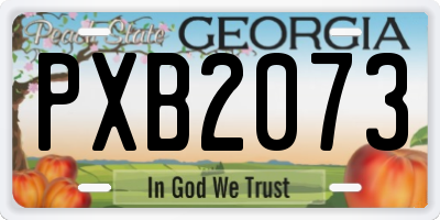 GA license plate PXB2073
