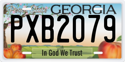 GA license plate PXB2079