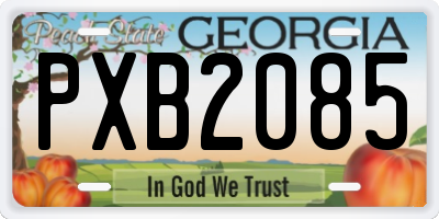 GA license plate PXB2085