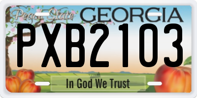 GA license plate PXB2103