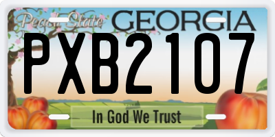GA license plate PXB2107