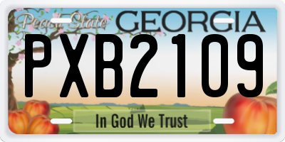 GA license plate PXB2109