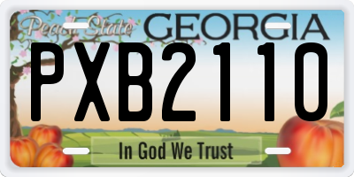 GA license plate PXB2110