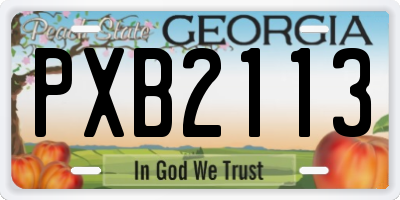GA license plate PXB2113