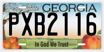 GA license plate PXB2116