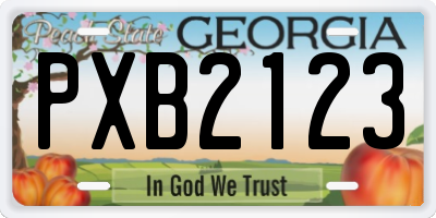 GA license plate PXB2123