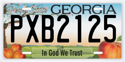 GA license plate PXB2125