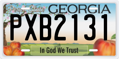 GA license plate PXB2131