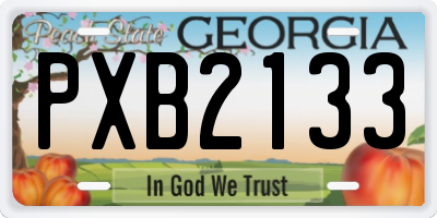 GA license plate PXB2133