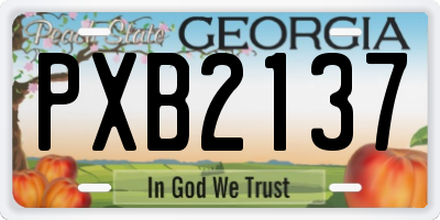 GA license plate PXB2137