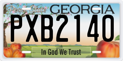 GA license plate PXB2140