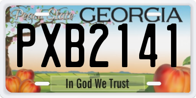 GA license plate PXB2141