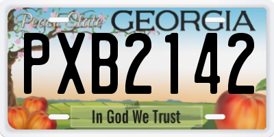 GA license plate PXB2142
