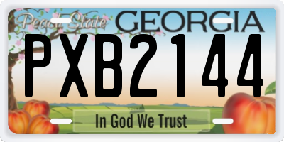 GA license plate PXB2144