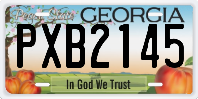 GA license plate PXB2145