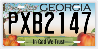 GA license plate PXB2147