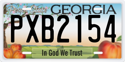 GA license plate PXB2154