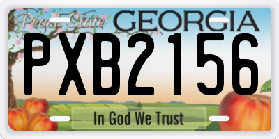 GA license plate PXB2156