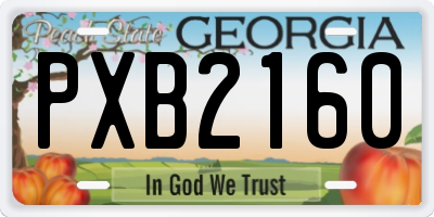 GA license plate PXB2160