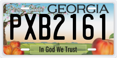 GA license plate PXB2161