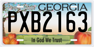 GA license plate PXB2163