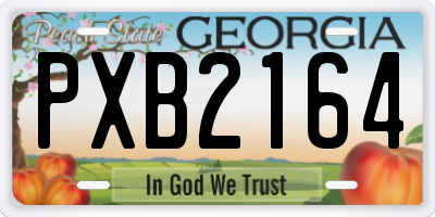 GA license plate PXB2164