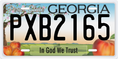 GA license plate PXB2165