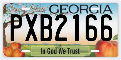 GA license plate PXB2166