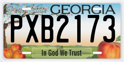 GA license plate PXB2173