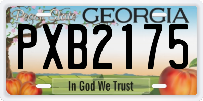 GA license plate PXB2175