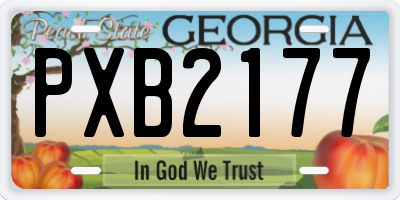 GA license plate PXB2177