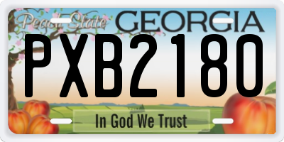 GA license plate PXB2180