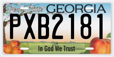 GA license plate PXB2181
