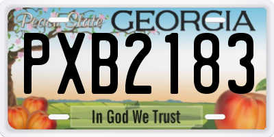 GA license plate PXB2183