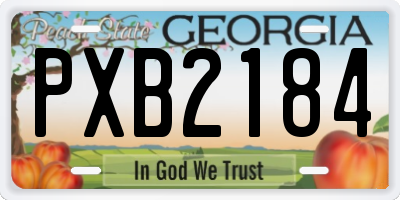 GA license plate PXB2184