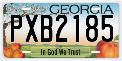 GA license plate PXB2185