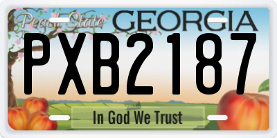 GA license plate PXB2187