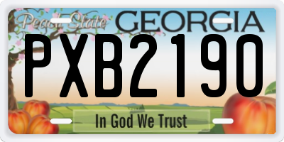 GA license plate PXB2190