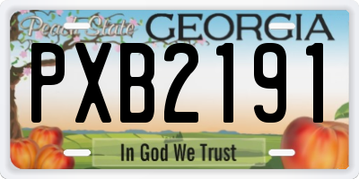 GA license plate PXB2191
