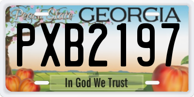 GA license plate PXB2197