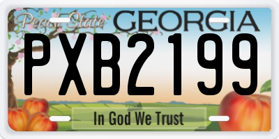 GA license plate PXB2199