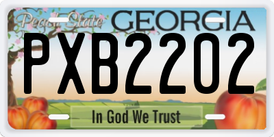 GA license plate PXB2202