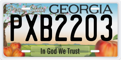 GA license plate PXB2203