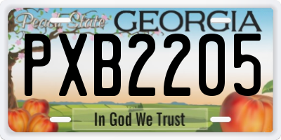 GA license plate PXB2205