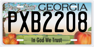 GA license plate PXB2208