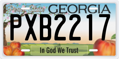 GA license plate PXB2217